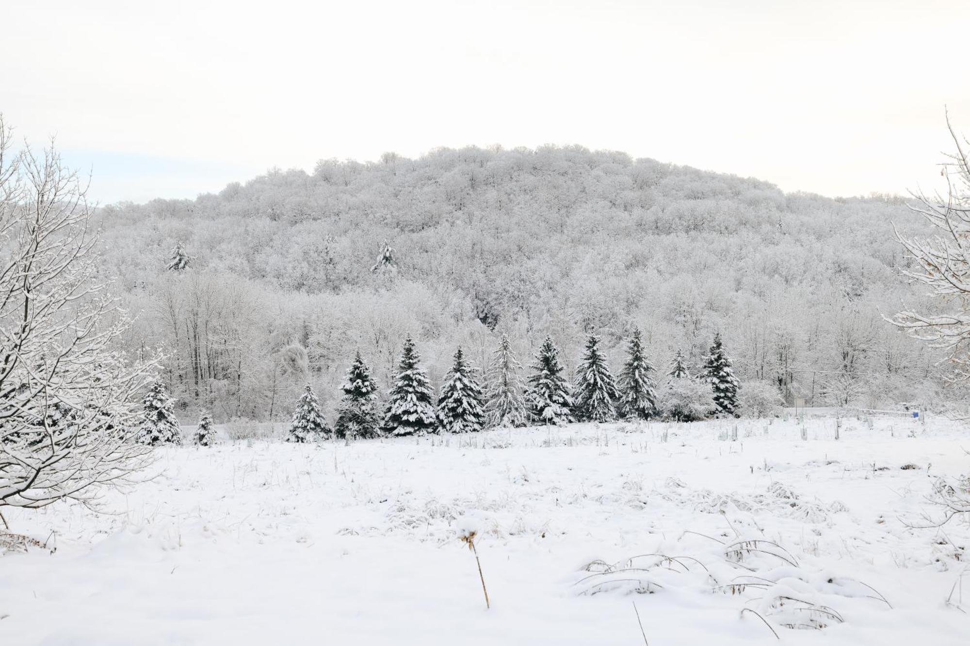 Beatnik Hotel Bromont Luaran gambar